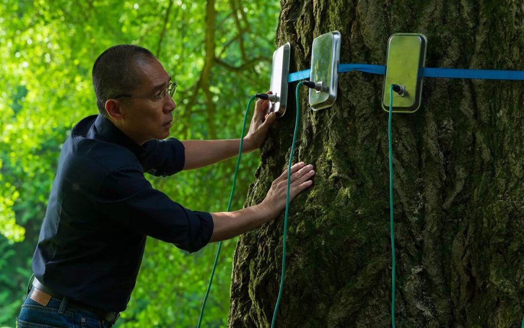 Filmklub: Csendes barát